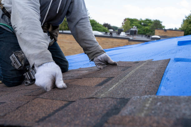 Quick and Trustworthy Emergency Roof Repair Services in St Jaco, IL