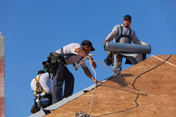 Gutter Installation and Roofing in St Jaco, IL