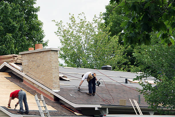 Roof Gutter Cleaning in St Jaco, IL
