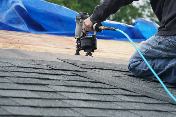 Best Storm Damage Roof Repair  in St Jaco, IL